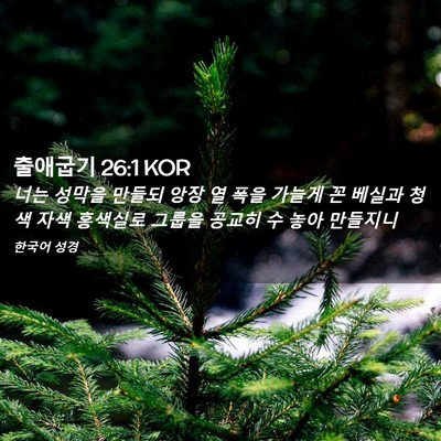 Picture 02 - 출애굽기 26:1 KOR - 너는 성막을 만들되 앙장 열 폭을 - Bible Verse Picture
