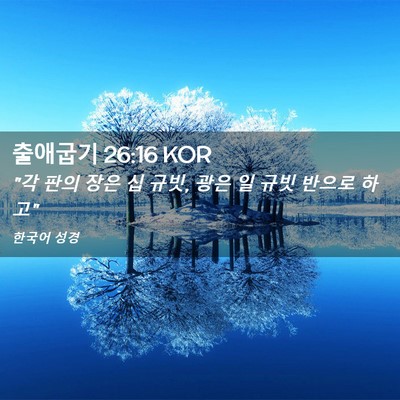 Picture 02 - 출애굽기 26:16 KOR - 
