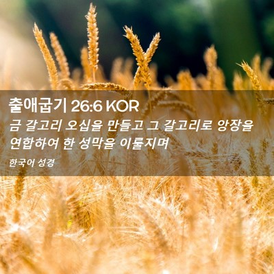 Picture 02 - 출애굽기 26:6 KOR - 금 갈고리 오십을 만들고 그 - Bible Verse Picture