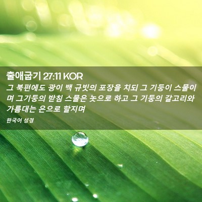 Picture 02 - 출애굽기 27:11 KOR - 그 북편에도 광이 백 규빗의 포장을 - Bible Verse Picture