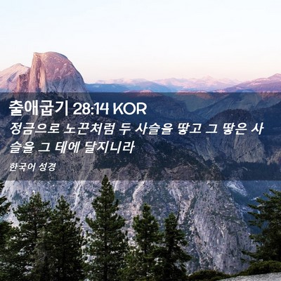 Picture 02 - 출애굽기 28:14 KOR - 정금으로 노끈처럼 두 사슬을 땋고 - Bible Verse Picture