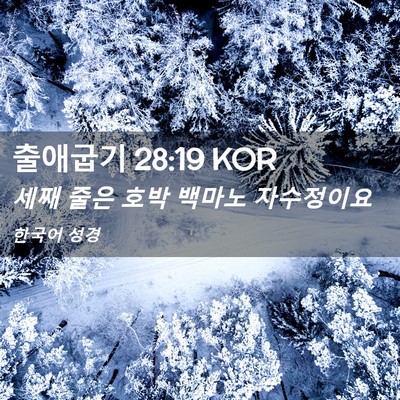 Picture 02 - 출애굽기 28:19 KOR - 세째 줄은 호박 백마노 - Bible Verse Picture
