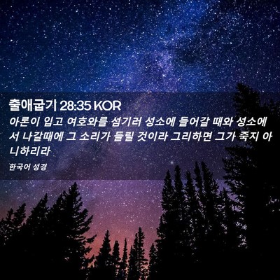 Picture 02 - 출애굽기 28:35 KOR - 아론이 입고 여호와를 섬기러 성소에 - Bible Verse Picture