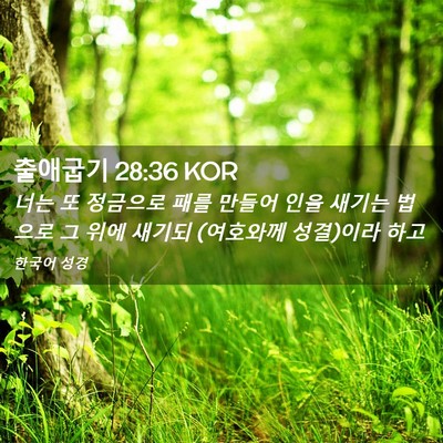 Picture 02 - 출애굽기 28:36 KOR - 너는 또 정금으로 패를 만들어 인을 - Bible Verse Picture