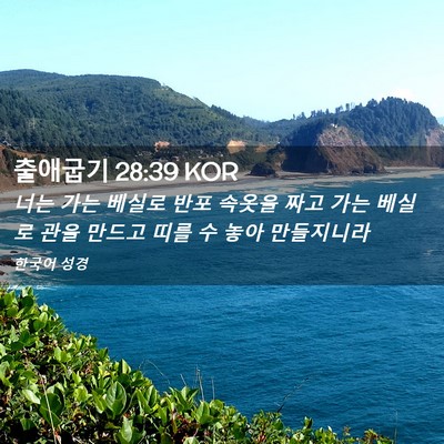 Picture 02 - 출애굽기 28:39 KOR - 너는 가는 베실로 반포 속옷을 짜고 - Bible Verse Picture