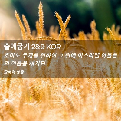 Picture 02 - 출애굽기 28:9 KOR - 호마노 두개를 취하여 그 위에 - Bible Verse Picture