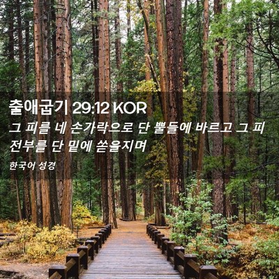 Picture 02 - 출애굽기 29:12 KOR - 그 피를 네 손가락으로 단 뿔들에 - Bible Verse Picture