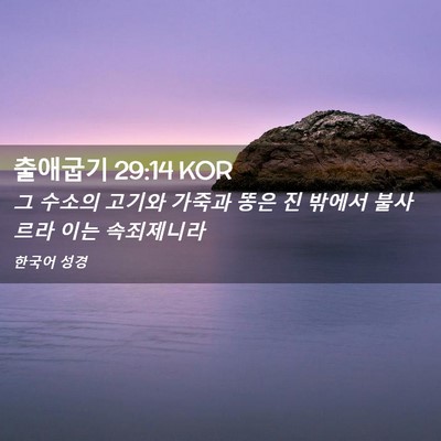Picture 02 - 출애굽기 29:14 KOR - 그 수소의 고기와 가죽과 똥은 진 - Bible Verse Picture