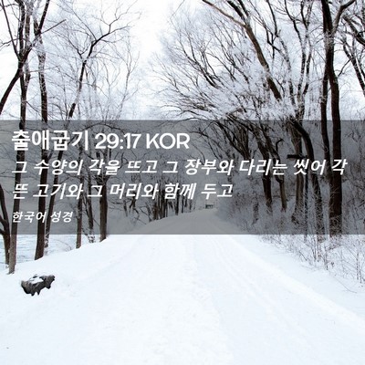 Picture 02 - 출애굽기 29:17 KOR - 그 수양의 각을 뜨고 그 장부와 - Bible Verse Picture