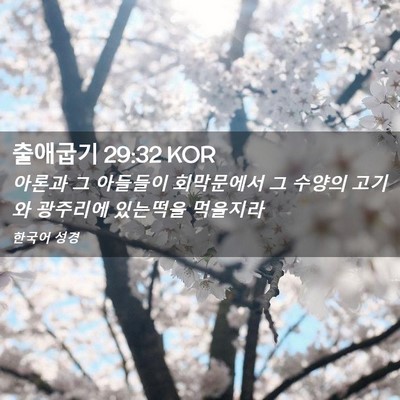 Picture 02 - 출애굽기 29:32 KOR - 아론과 그 아들들이 회막문에서 그 - Bible Verse Picture