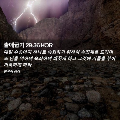 Picture 02 - 출애굽기 29:36 KOR - 매일 수송아지 하나로 속죄하기 - Bible Verse Picture
