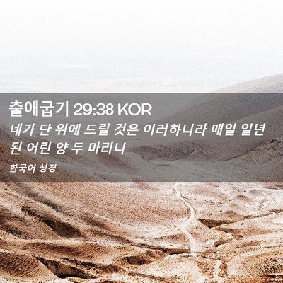 Picture 02 - 출애굽기 29:38 KOR - 네가 단 위에 드릴 것은 이러하니라 - Bible Verse Picture
