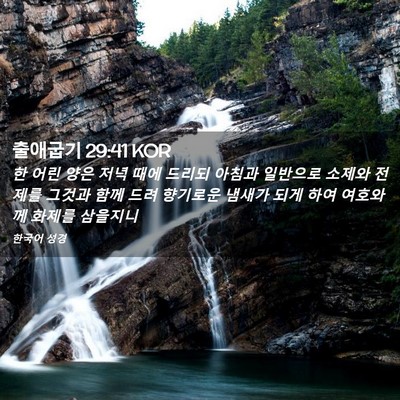 Picture 02 - 출애굽기 29:41 KOR - 한 어린 양은 저녁 때에 드리되 - Bible Verse Picture