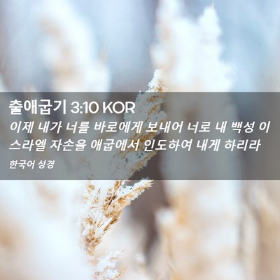 Picture 02 - 출애굽기 3:10 KOR - 이제 내가 너를 바로에게 보내어 - Bible Verse Picture