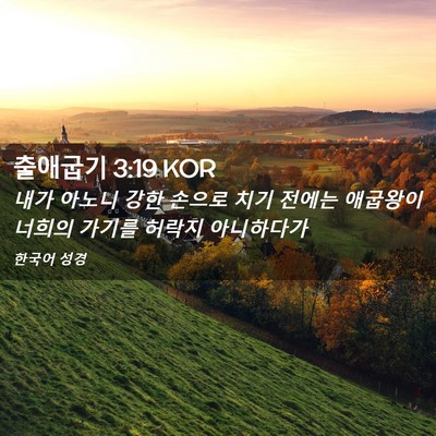 Picture 02 - 출애굽기 3:19 KOR - 내가 아노니 강한 손으로 치기 - Bible Verse Picture
