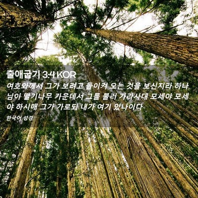 Picture 02 - 출애굽기 3:4 KOR - 여호와께서 그가 보려고 돌이켜 오는 - Bible Verse Picture