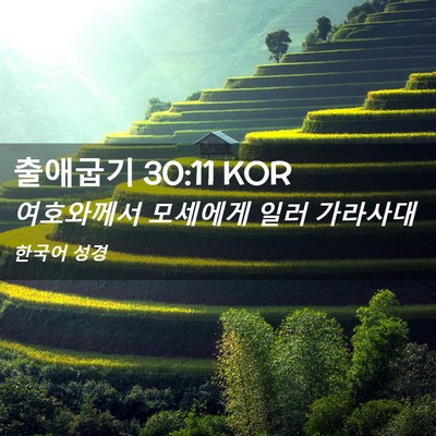 Picture 02 - 출애굽기 30:11 KOR - 여호와께서 모세에게 일러 - Bible Verse Picture