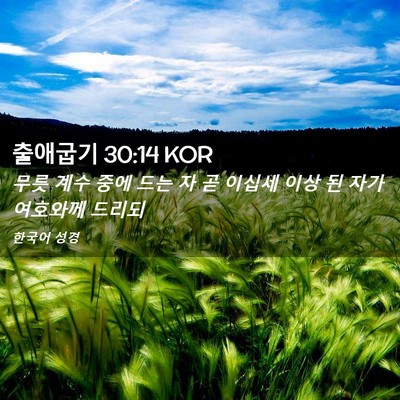 Picture 02 - 출애굽기 30:14 KOR - 무릇 계수 중에 드는 자 곧 이십세 - Bible Verse Picture