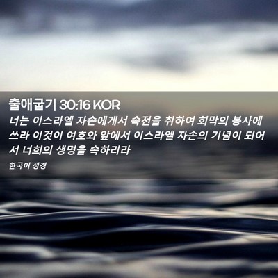 Picture 02 - 출애굽기 30:16 KOR - 너는 이스라엘 자손에게서 속전을 - Bible Verse Picture