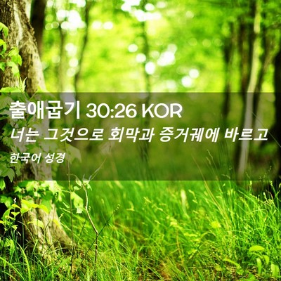 Picture 02 - 출애굽기 30:26 KOR - 너는 그것으로 회막과 증거궤에 - Bible Verse Picture