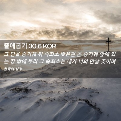 Picture 02 - 출애굽기 30:6 KOR - 그 단을 증거궤 위 속죄소 맞은편 곧 - Bible Verse Picture