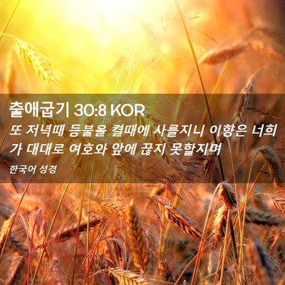 Picture 02 - 출애굽기 30:8 KOR - 또 저녁때 등불을 켤때에 사를지니 - Bible Verse Picture