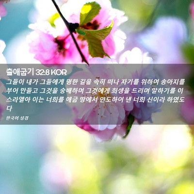 Picture 02 - 출애굽기 32:8 KOR - 그들이 내가 그들에게 명한 길을 - Bible Verse Picture