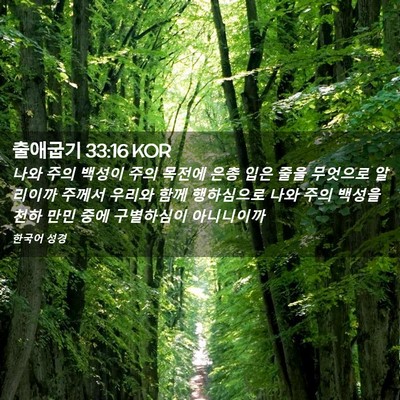 Picture 02 - 출애굽기 33:16 KOR - 나와 주의 백성이 주의 목전에 은총 - Bible Verse Picture