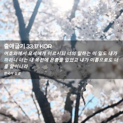 Picture 02 - 출애굽기 33:17 KOR - 여호와께서 모세에게 이르시되 너의 - Bible Verse Picture