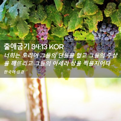 Picture 02 - 출애굽기 34:13 KOR - 너희는 도리어 그들의 단들을 헐고 - Bible Verse Picture