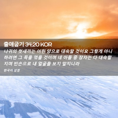 Picture 02 - 출애굽기 34:20 KOR - 나귀의 첫새끼는 어린 양으로 대속할 - Bible Verse Picture