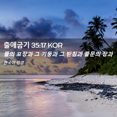Picture 02 - 출애굽기 35:17 KOR - 뜰의 포장과 그 기둥과 그 받침과 - Bible Verse Picture