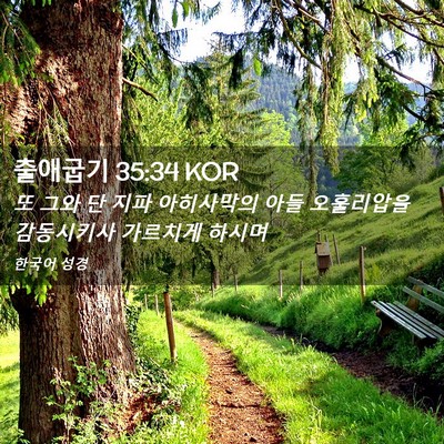 Picture 02 - 출애굽기 35:34 KOR - 또 그와 단 지파 아히사막의 아들 - Bible Verse Picture
