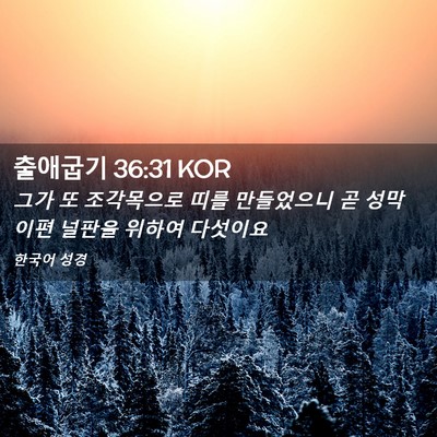 Picture 02 - 출애굽기 36:31 KOR - 그가 또 조각목으로 띠를 만들었으니 - Bible Verse Picture