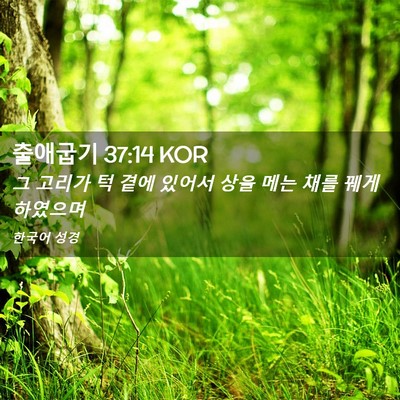 Picture 02 - 출애굽기 37:14 KOR - 그 고리가 턱 곁에 있어서 상을 메는 - Bible Verse Picture