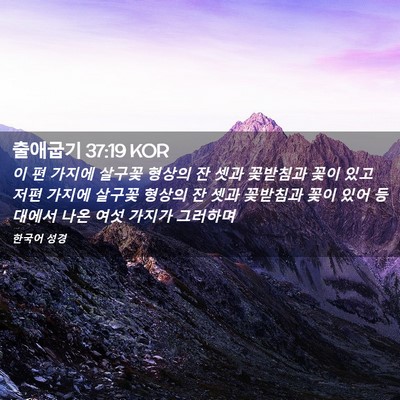 Picture 02 - 출애굽기 37:19 KOR - 이 편 가지에 살구꽃 형상의 잔 셋과 - Bible Verse Picture