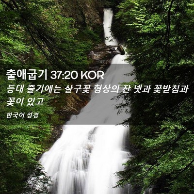 Picture 02 - 출애굽기 37:20 KOR - 등대 줄기에는 살구꽃 형상의 잔 - Bible Verse Picture