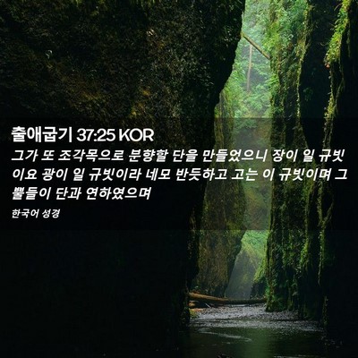 Picture 02 - 출애굽기 37:25 KOR - 그가 또 조각목으로 분향할 단을 - Bible Verse Picture