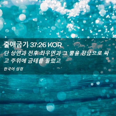 Picture 02 - 출애굽기 37:26 KOR - 단 상면과 전후 좌우면과 그 뿔을 - Bible Verse Picture
