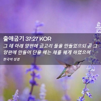 Picture 02 - 출애굽기 37:27 KOR - 그 테 아래 양편에 금고리 둘을 - Bible Verse Picture