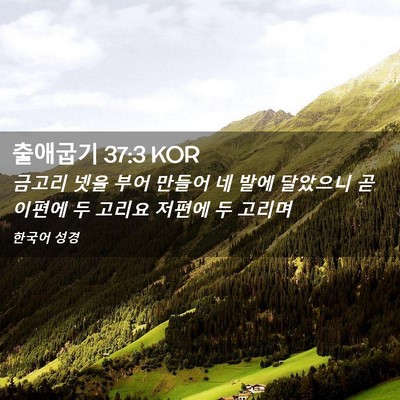 Picture 02 - 출애굽기 37:3 KOR - 금고리 넷을 부어 만들어 네 발에 - Bible Verse Picture