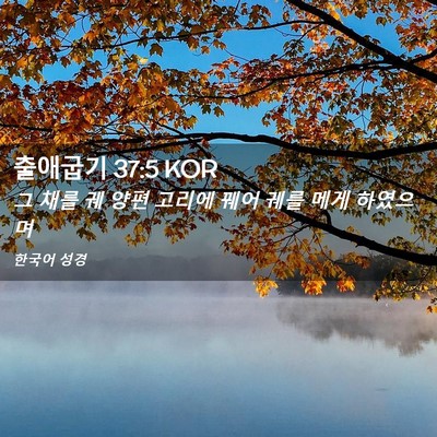 Picture 02 - 출애굽기 37:5 KOR - 그 채를 궤 양편 고리에 꿰어 궤를 - Bible Verse Picture