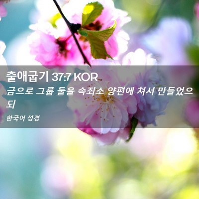 Picture 02 - 출애굽기 37:7 KOR - 금으로 그룹 둘을 속죄소 양편에 - Bible Verse Picture