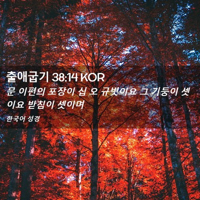 Picture 02 - 출애굽기 38:14 KOR - 문 이편의 포장이 십 오 규빗이요 그 - Bible Verse Picture