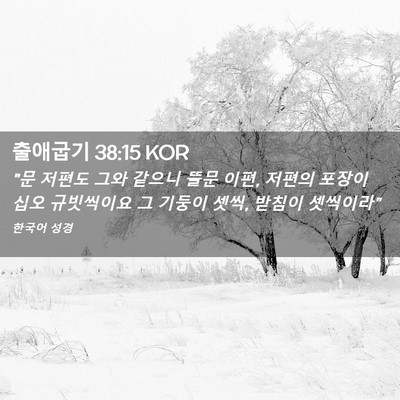 Picture 02 - 출애굽기 38:15 KOR - 