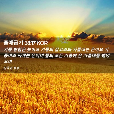 Picture 02 - 출애굽기 38:17 KOR - 기둥 받침은 놋이요 기둥의 갈고리와 - Bible Verse Picture