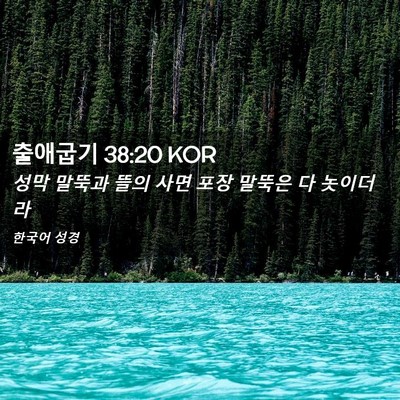 Picture 02 - 출애굽기 38:20 KOR - 성막 말뚝과 뜰의 사면 포장 말뚝은 - Bible Verse Picture