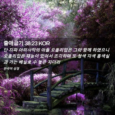 Picture 02 - 출애굽기 38:23 KOR - 단 지파 아히사막의 아들 오홀리압은 - Bible Verse Picture
