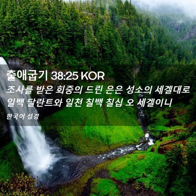 Picture 02 - 출애굽기 38:25 KOR - 조사를 받은 회중의 드린 은은 - Bible Verse Picture
