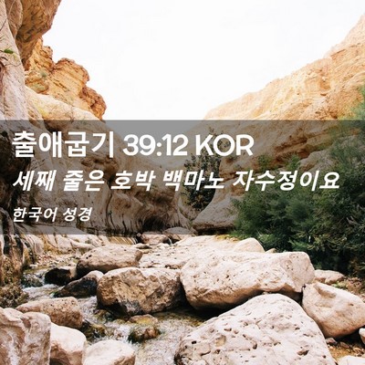 Picture 02 - 출애굽기 39:12 KOR - 세째 줄은 호박 백마노 - Bible Verse Picture